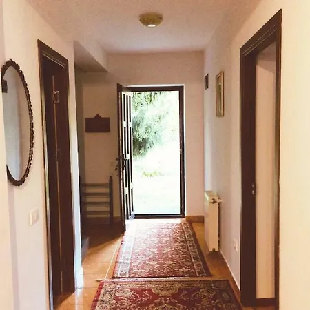 Holiday home Melania Azuga